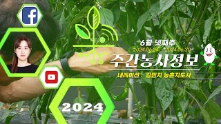 [ 주간농사정보 ] 6월 4째주 (2024. 06. 24. ~ 06. 30.)