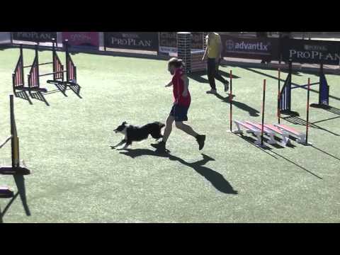 15112015 Jumping Akela