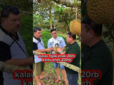 durian kalau ngak enak 20rb kalau enak 200rb #durian