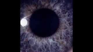 Dan Swano   Uncreation