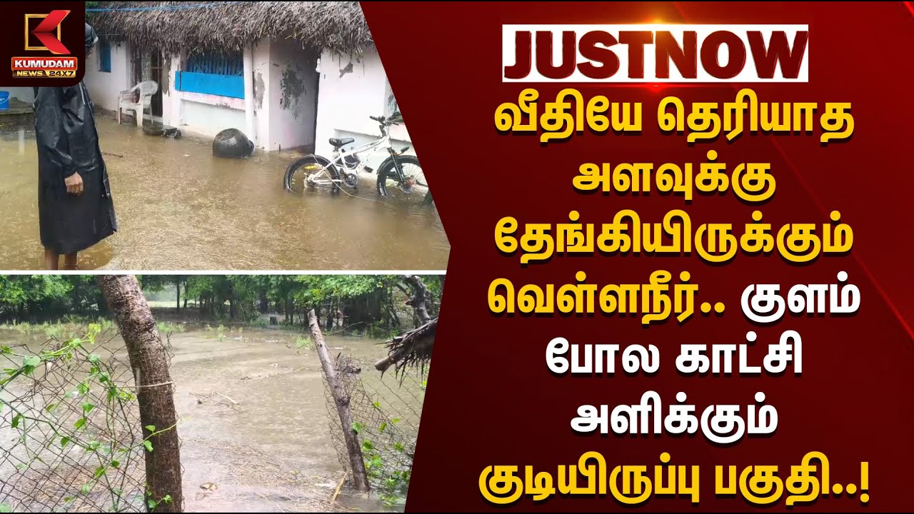 வீதியே தெரியாத அளவுக்கு தேங்கியிருக்கும் வெள்ளநீர்.. குளம் போல காட்சி அளிக்கும் குடியிருப்பு பகுதி