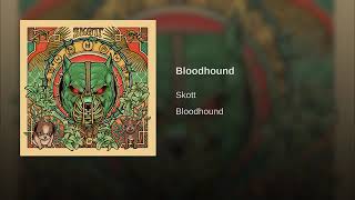 Cover art for Bloodhound