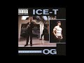 Ice T - Mind Over Matter