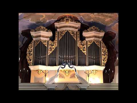 Slavnostni pochod-Adam Vaclav Michna z Otradovic