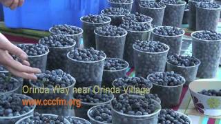 preview picture of video 'Contra Costa Certified Farmers' Market: Orinda'