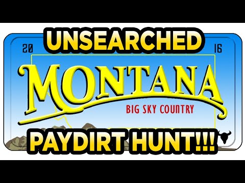 Montana-Prospector (eBay) 8oz Nugget Bag Gold Paydirt Review #143