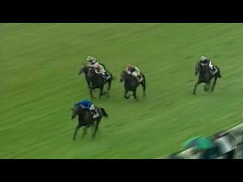 A tribute to Dubawi {Can't hold us}