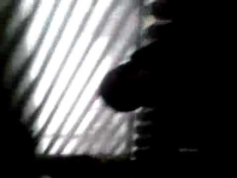 george de la romani au talent