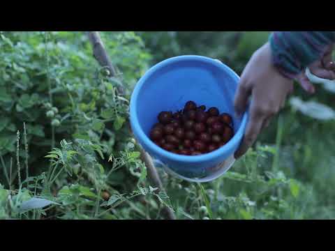 Resumen Colectivo Imaginario / Fundación Valentín Granja Sustentable, Quebracho Herrado, Cba)