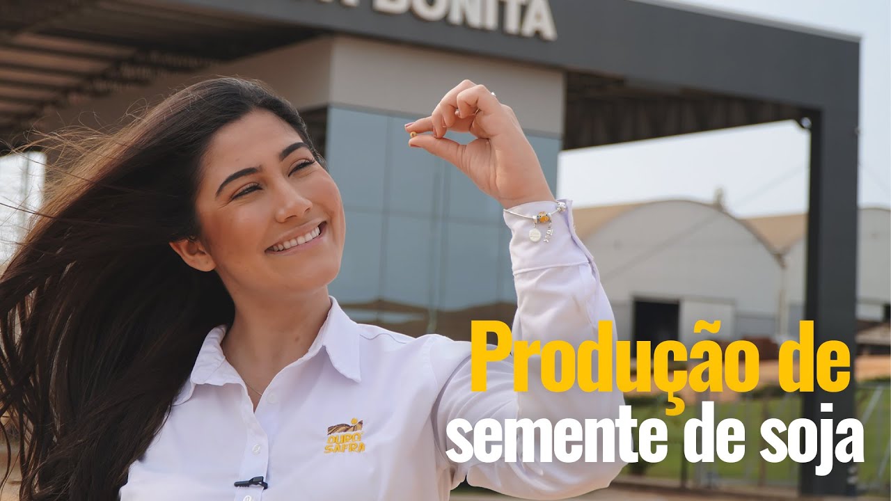 Produção de semente de soja | Dia a Dia da Ouro Safra ft Lagoa Bonita