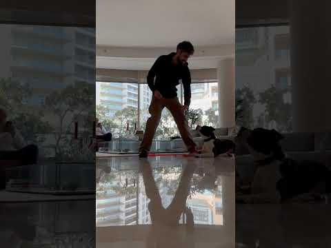 Basic obedience with Taiga 🐶🐕