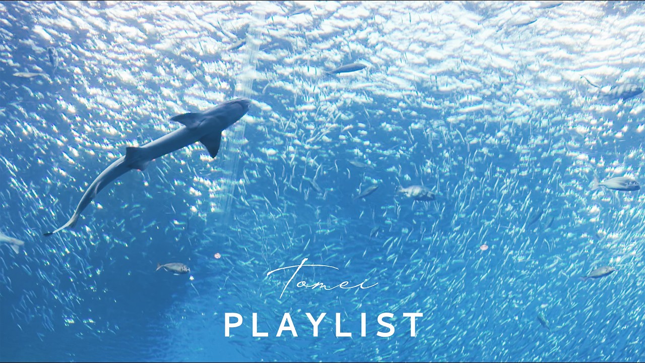 ［Playlist］ひとりで過ごす水族館。