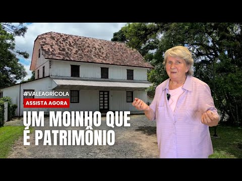 O MOINHO QUE PAROU NO TEMPO: máquinas originais e memórias vivas do trigo e centeio em Itaiópolis