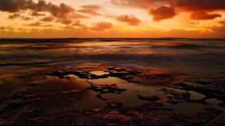 Sunset Off The Coastline　/　the　HIATUS　Cover