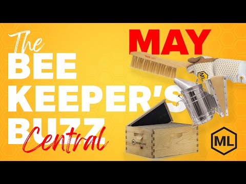 The Buzz on Beekeeping Practices | Golden Age