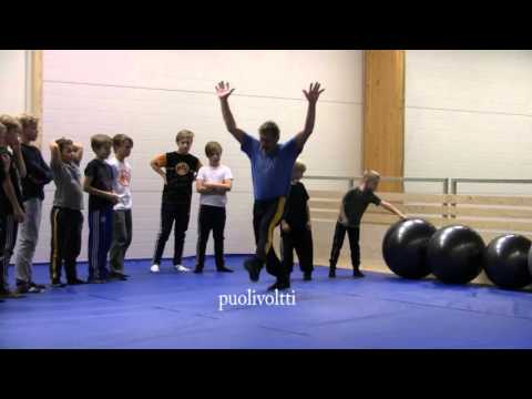 Paini-Ilves  motoriikkaharjoite