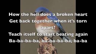 Bluebird - Christina Perri LYRICS