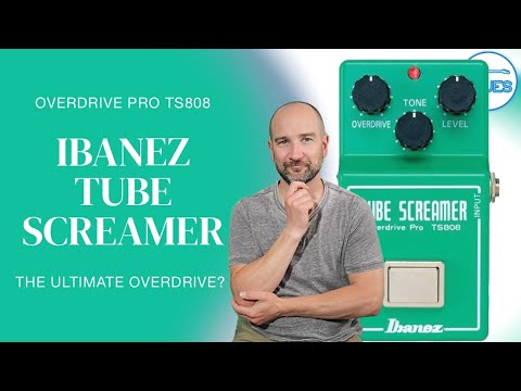 Ibanez Tube Screamer Overdrive Pro TS808  - How it REALLY Sounds