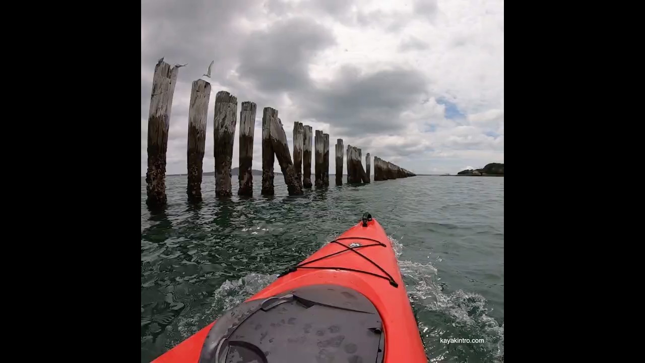 The wooden wave-break structure at Ōkahu Bay #kayak #kayaklife #wharf #newzealand