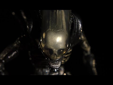 Why is the Xenomorph so Aggressive?