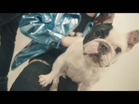 Haki x Whyrun - 50k feat. Daniil