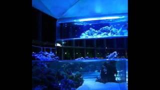 J Phlip & Julio Bashmore   Midnight At The Aquarium Original