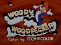 Woody Woodpecker theme 