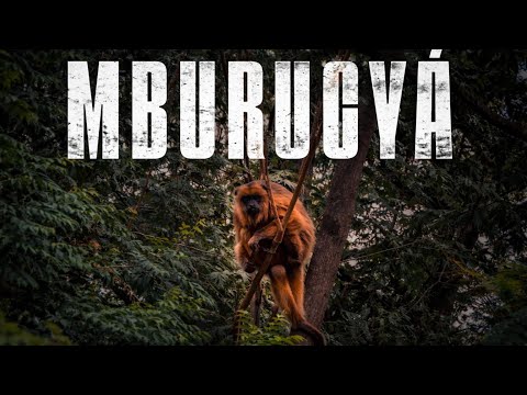 Documentário Parque Nacional Mburucuyá
