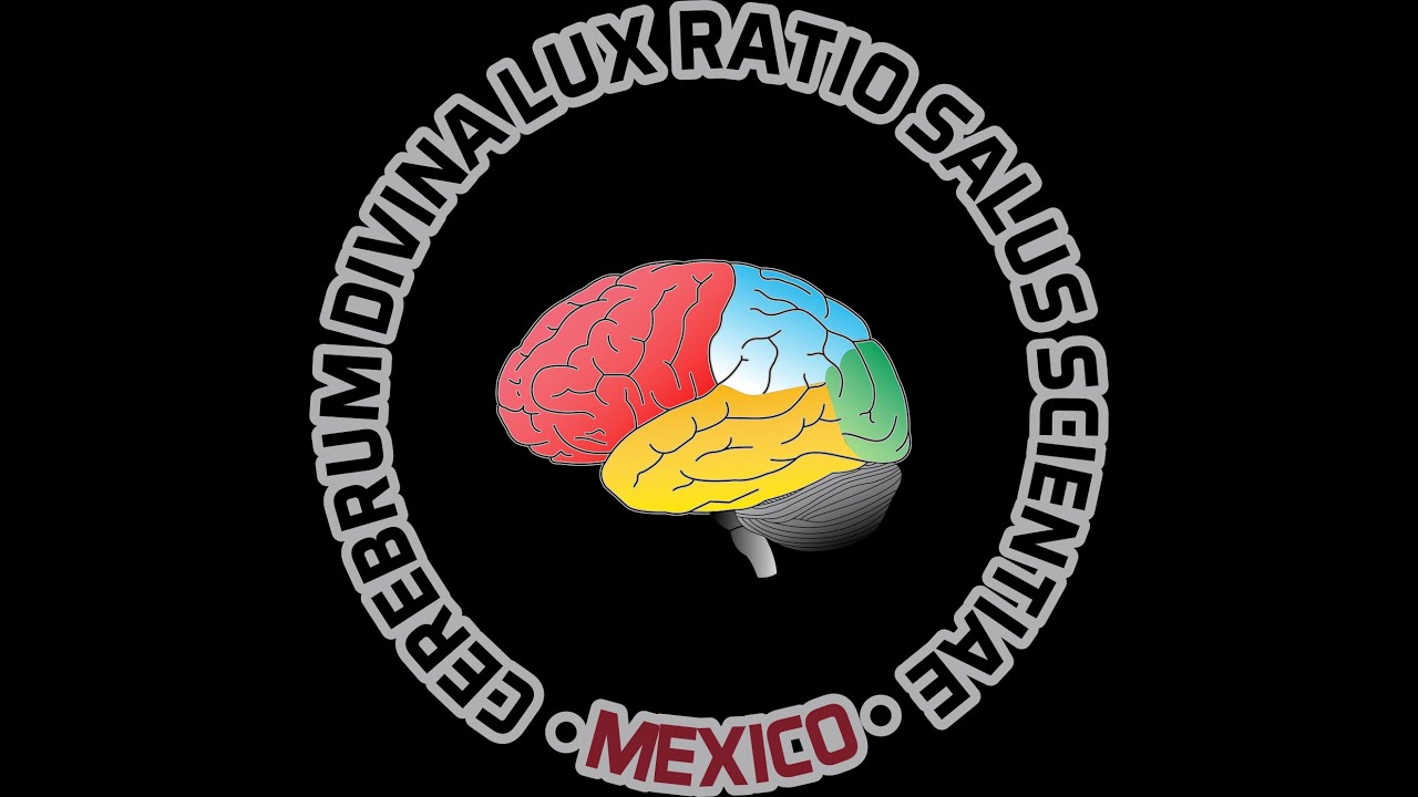 Carlos Alfonso Rodríguez Alvarez-9