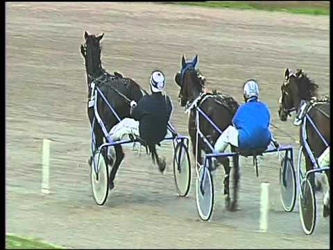 Trotto 29/10/2015 - 4° corsa