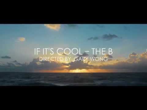 If It's Cool/The B - Travis Bowe