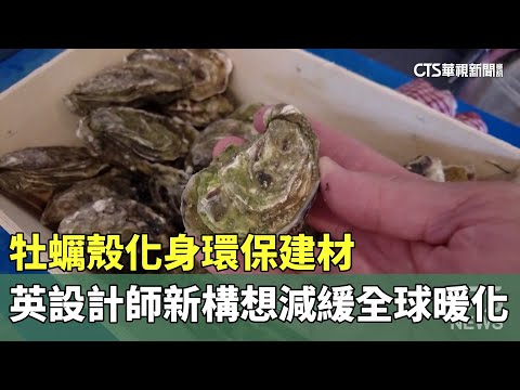 減緩全球暖化　英國設計師拿牡蠣殼當建材
