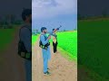 The AK 47 Firing Wedding Ceremony In Panjab Pakistan Shorts