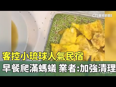 客控小琉球人氣民宿「早餐爬滿螞蟻」　業者：加強清理