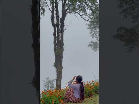 Kati baschau pardesmai farki aau🥹❤️#trisha #song #flowers #anuale12