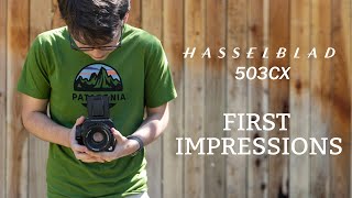 Hasselblad 503CX - Sunrise Shoot and First Impressions!