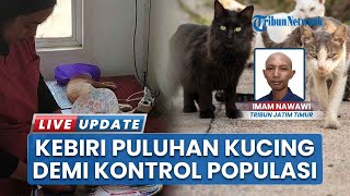 PHDI Jatim VII Gelar Sterilisasi Gratis Kucing di Jember, Upaya Kendalikan Populasi Hewan Liar