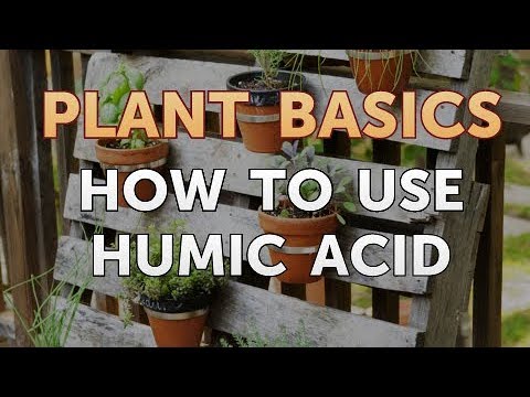 How to Dry an Overwatered Plant