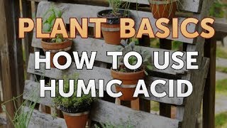 How to Use Humic Acid