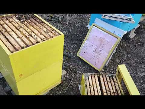 BITNO JE BITI ISKREN - Moji prvi gubici, društva stradala od ? Bitni savjeti za početnike...