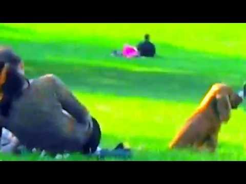 BAP KENNEDY feat MARK KNOPFLER THE RIGHT STUFF  (again)