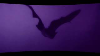 Fleetwood Mac - Caroline   (s l o w e d   &amp;   r e v e r b)