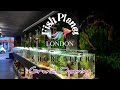 NEW Fish Planet London Store Is Now Open Shoreditch Branch