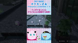 【耐久】【プリン観察動画】ポケモンZA ベンチでまったりとプリンちゃんを観察する動画#shorts