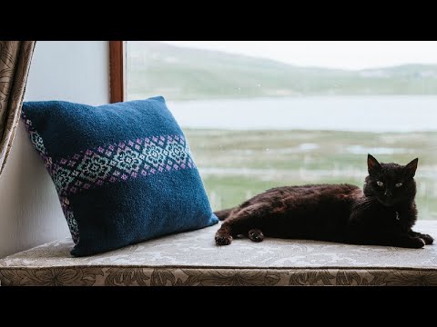 Shetland Wool Week Annual - 'Rig o'Flooers Cushion' by Terri Laura