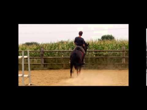 Sandro Bedo x Arpeggio x Florestan I