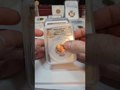 MAKE IT STOP! #coin #coins #money #fyp #cent #cash #spend #value #worth #stop #numismatics #collect