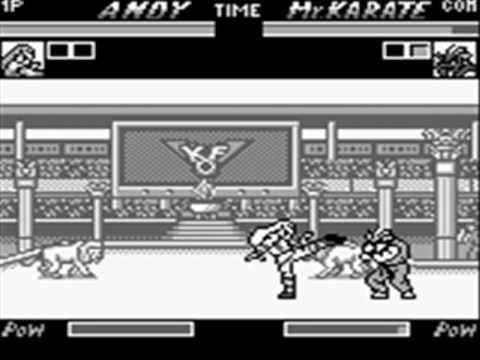 Nettou King of Fighters 96 - Mr. Karate theme