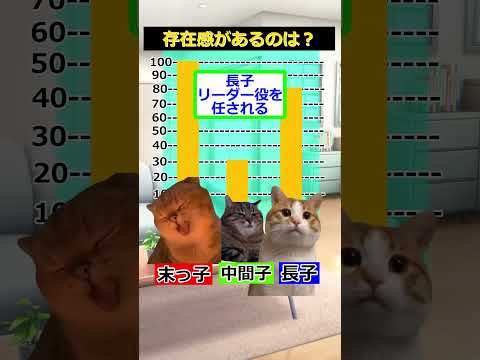 【猫ミーム】兄弟姉妹あるある　#猫ミーム #shorts #catmemes #猫マニ #あるある