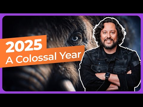 2025 A Colossal Year In Review